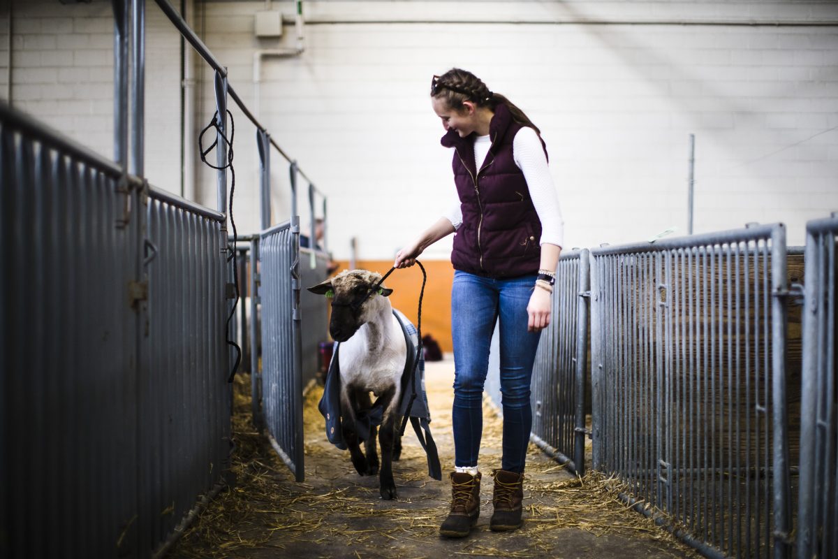 Celebrating agriculture